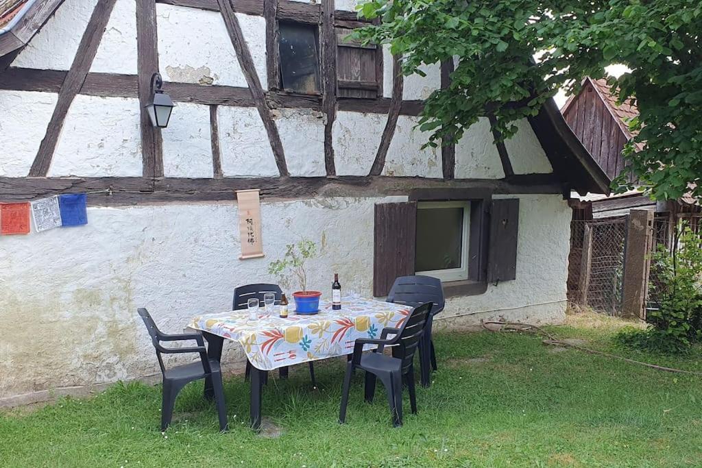 Le Berger Du Salzbach Romanswiller
